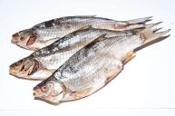 Вобла вяленая