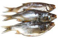 Плотва вяленая